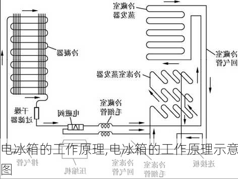 电冰箱的工作原理,电冰箱的工作原理示意图