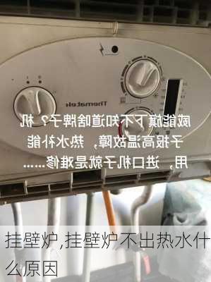 挂壁炉,挂壁炉不出热水什么原因