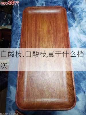 白酸枝,白酸枝属于什么档次