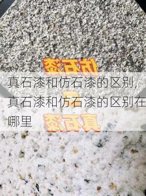 真石漆和仿石漆的区别,真石漆和仿石漆的区别在哪里