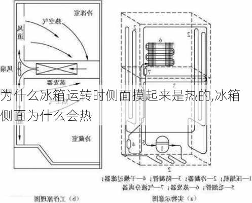 为什么冰箱运转时侧面摸起来是热的,冰箱侧面为什么会热