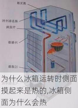 为什么冰箱运转时侧面摸起来是热的,冰箱侧面为什么会热